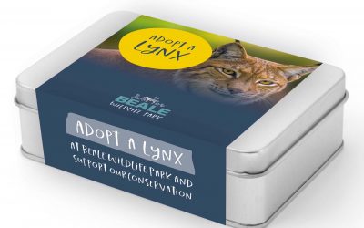Adopt an animal … in a tin