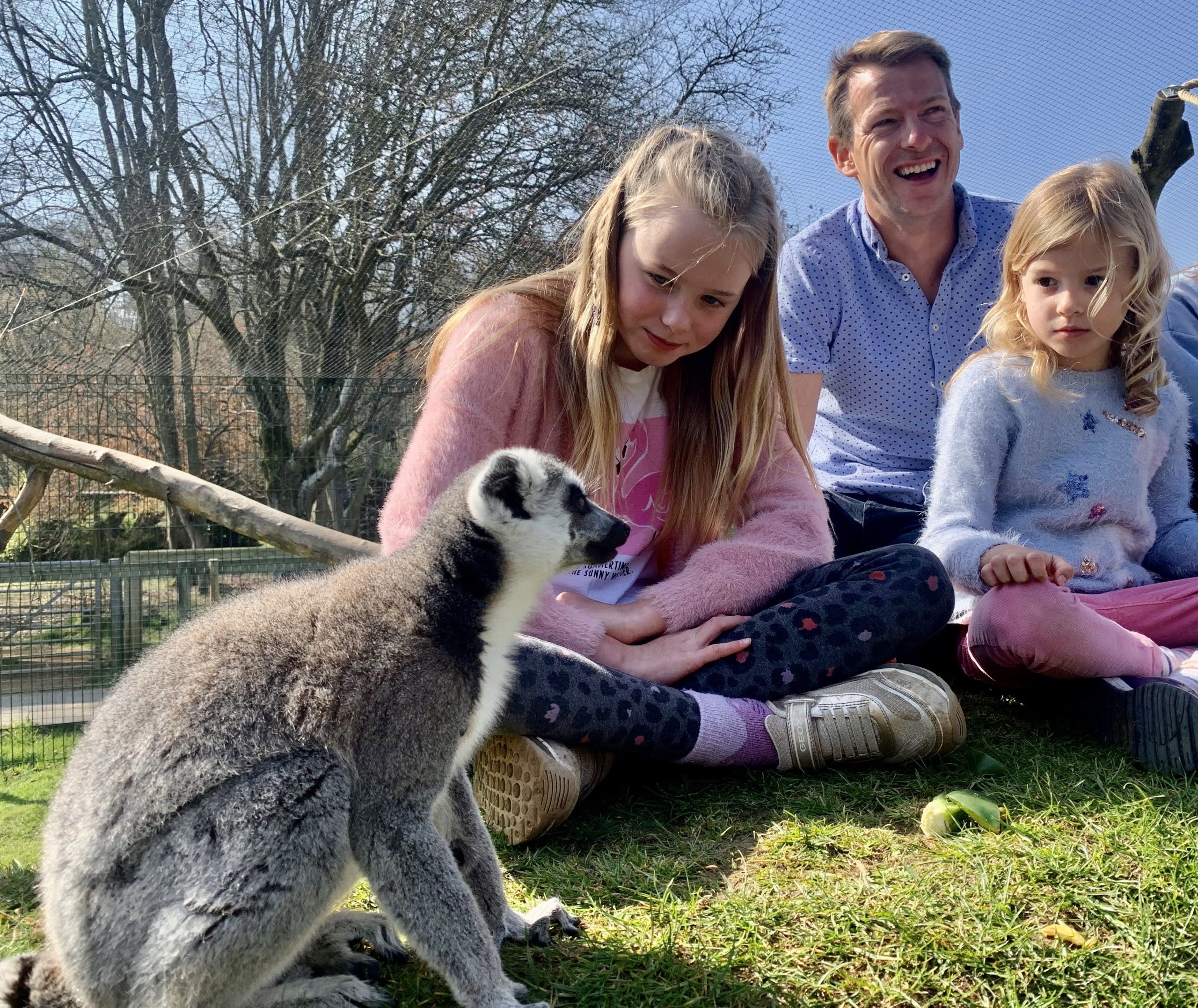 Get set for animal experiences - Beale Wildlife Park and Gardens