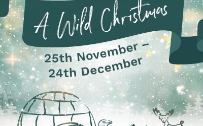 Book now for Wild Christmas